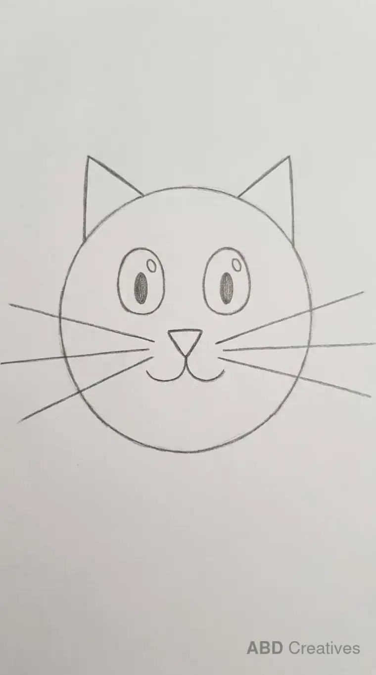 Big Cat Face with Whiskers