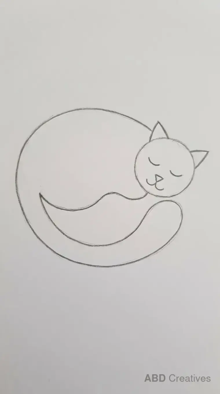 Sleeping Cat Curled in a Circle