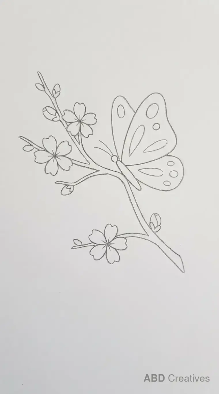Cherry Blossom with a Butterfly