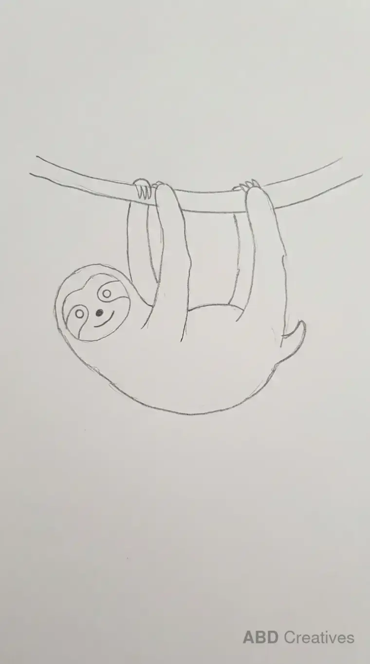 Sloth Hanging on a Branch
