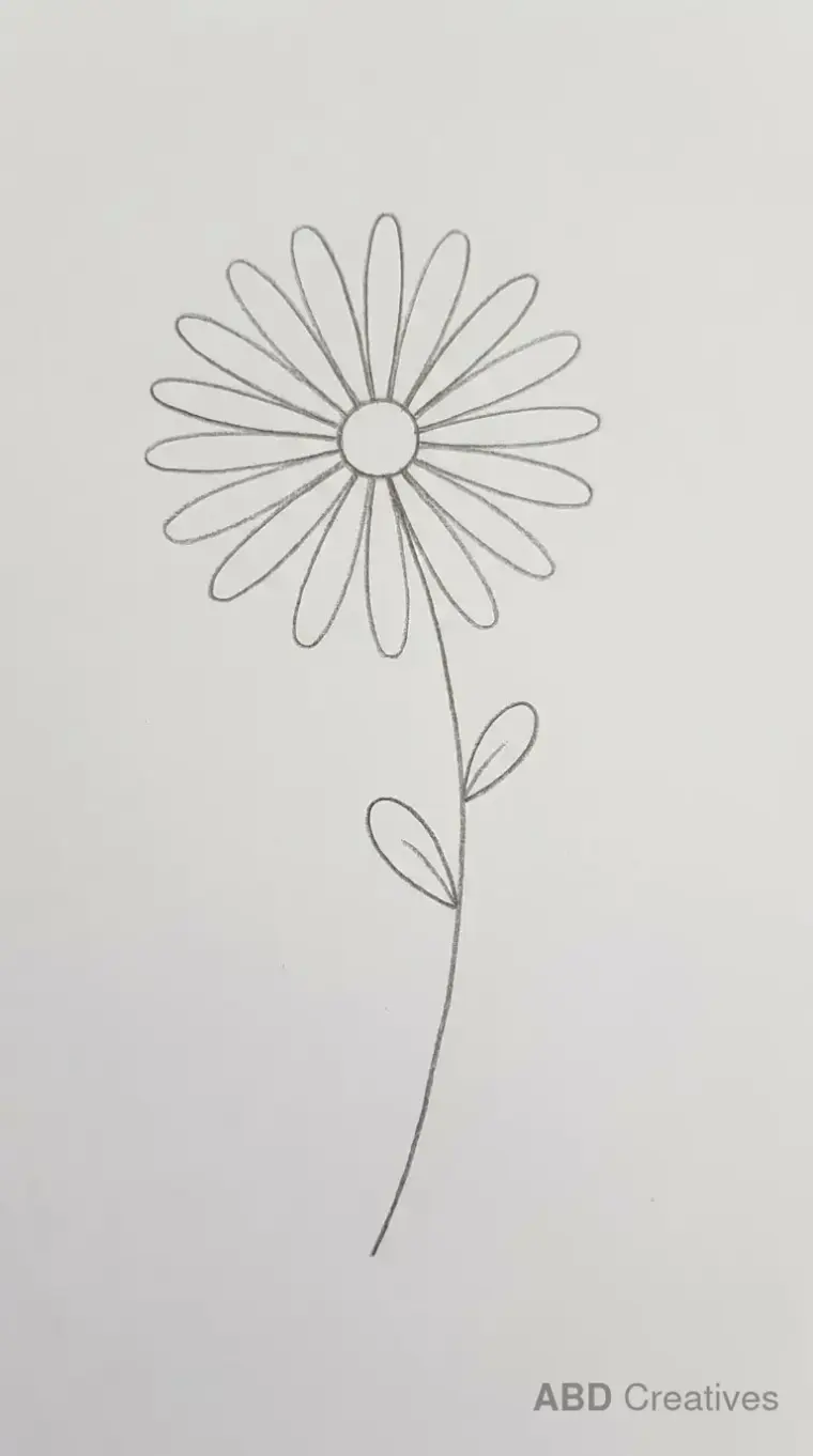 Easy Daisy for Beginners