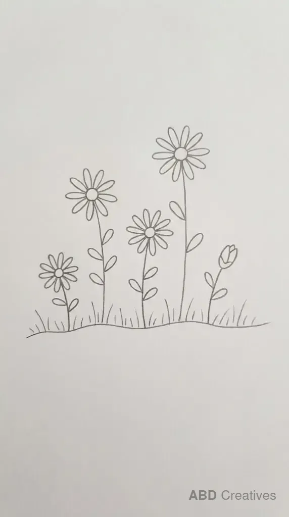 Daisies Growing in the Grass