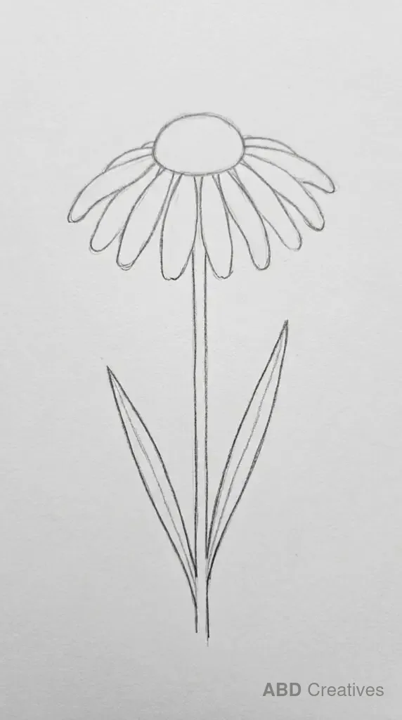Daisy with Long Leaves