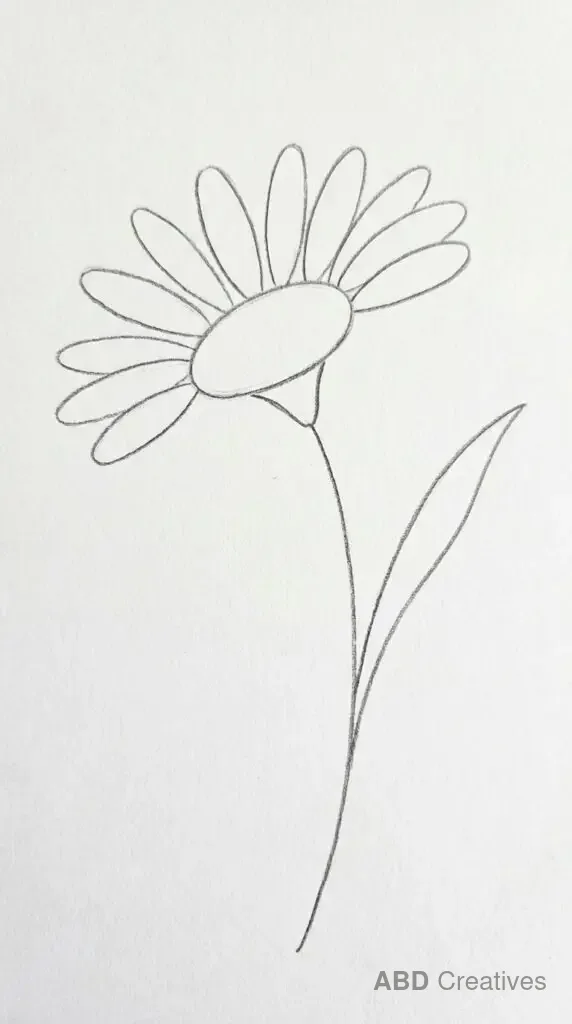 Side View Daisy