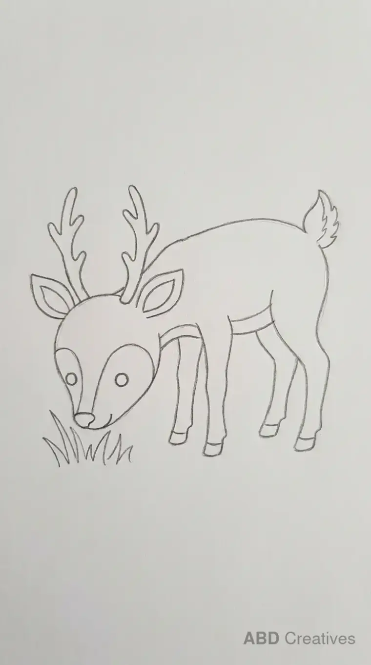 Deer Eating Grass