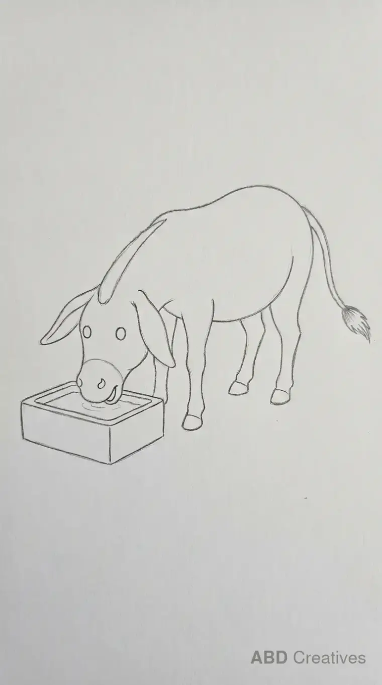 Donkey Drinking from Water Trough
