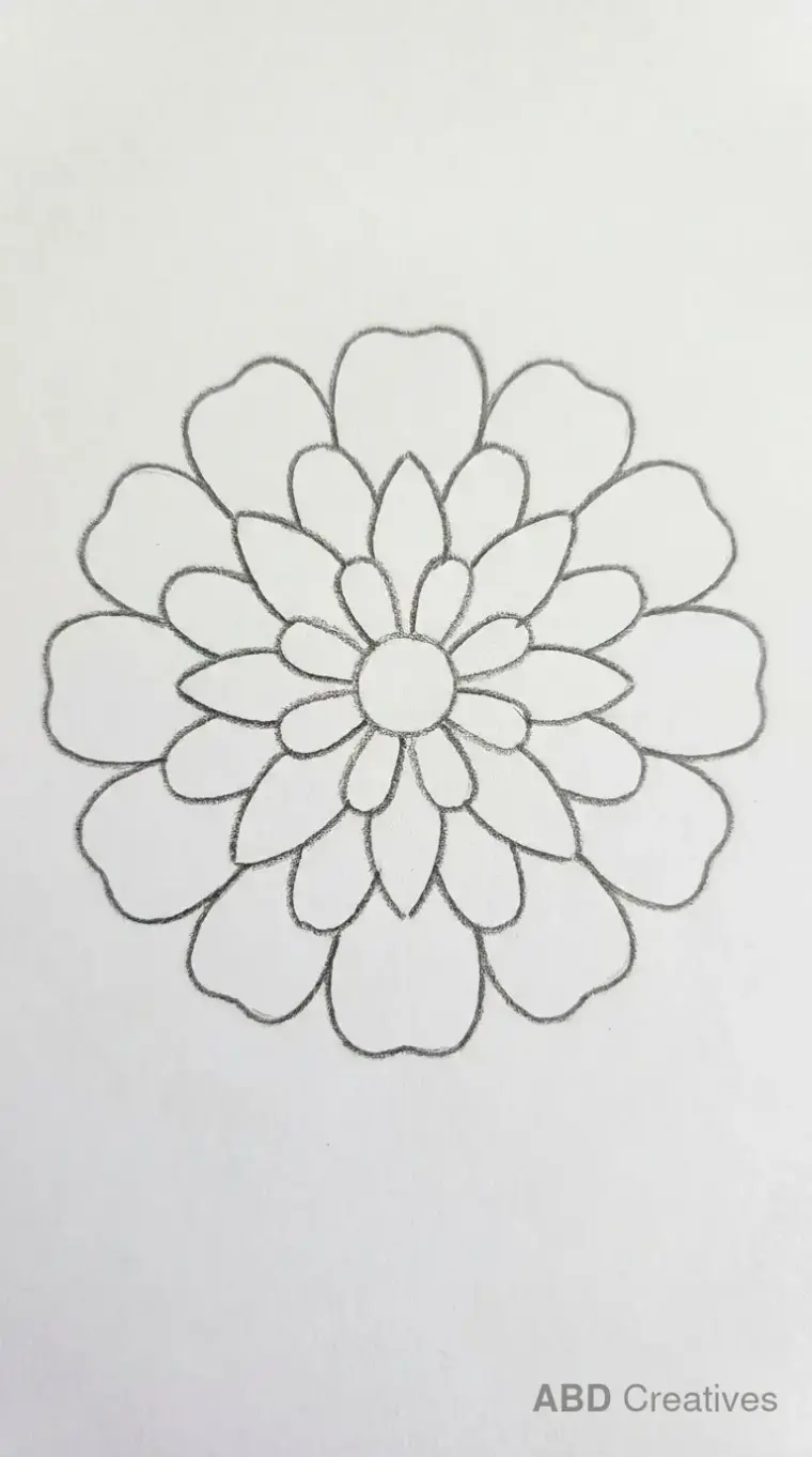 Double Petal Zinnia
