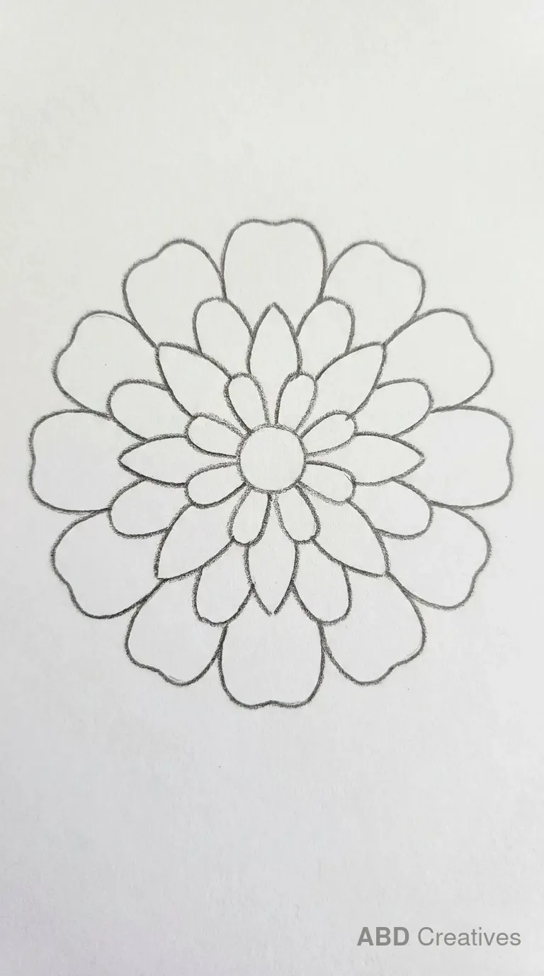 Double Petal Zinnia