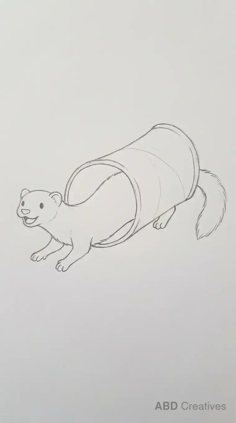 Ferret Crawling Through Tunnel