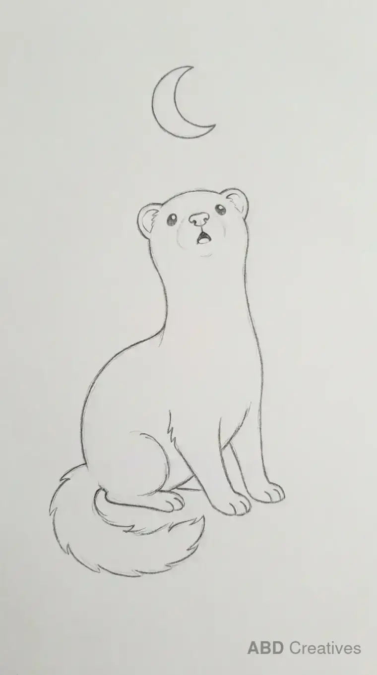 Ferret Looking at Crescent Moon