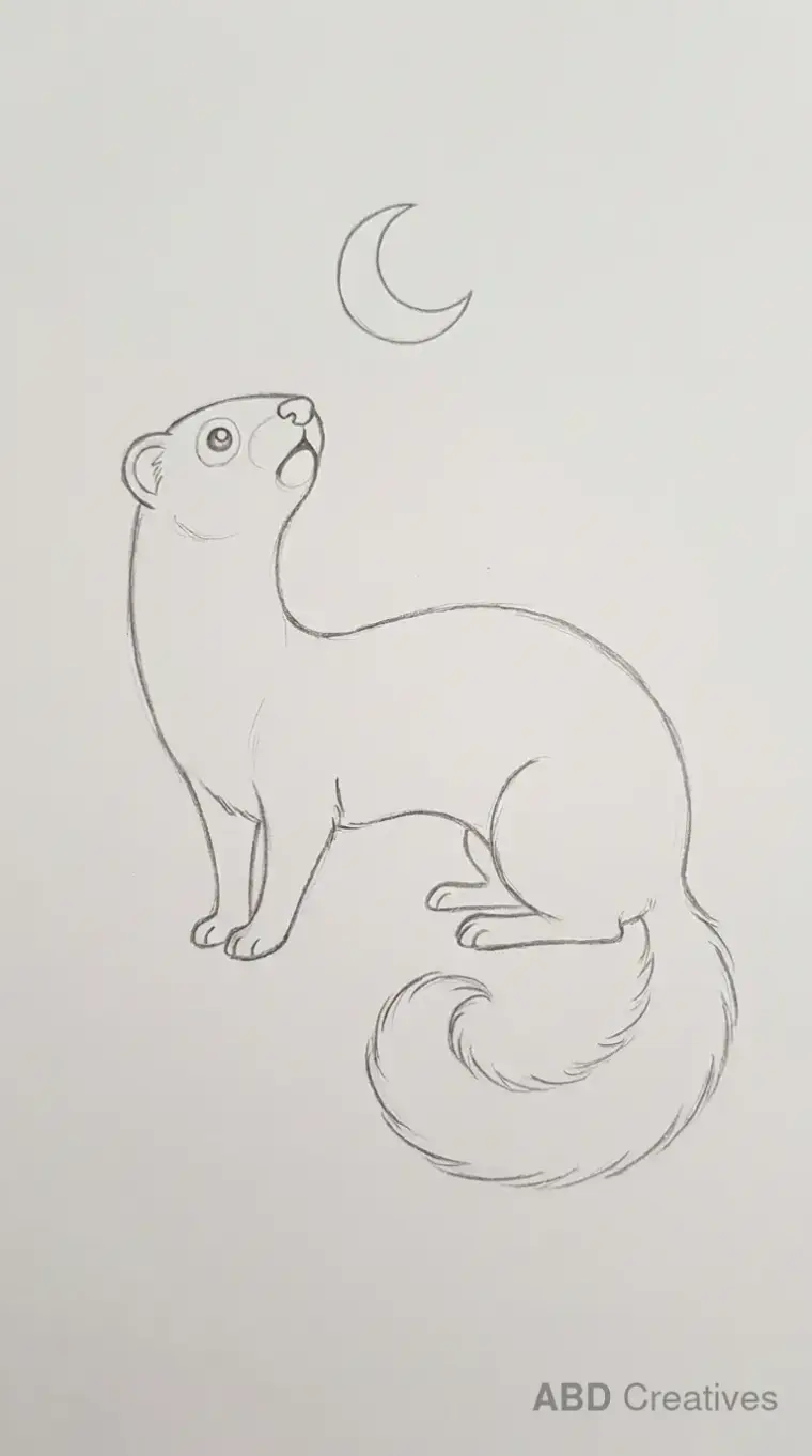 Ferret Looking at the Moon