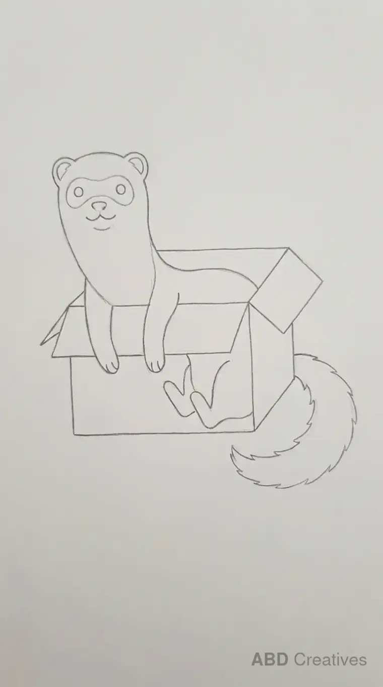 Ferret Peeking from Cardboard Box