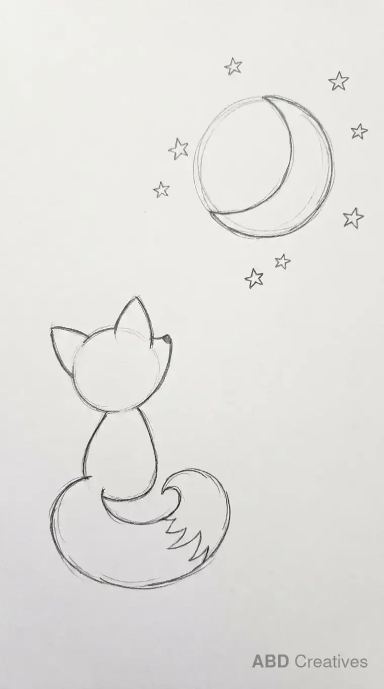 Fox Looking at the Moon and Stars