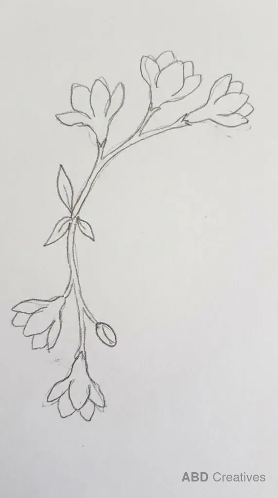 Freesia Flower Corner Border