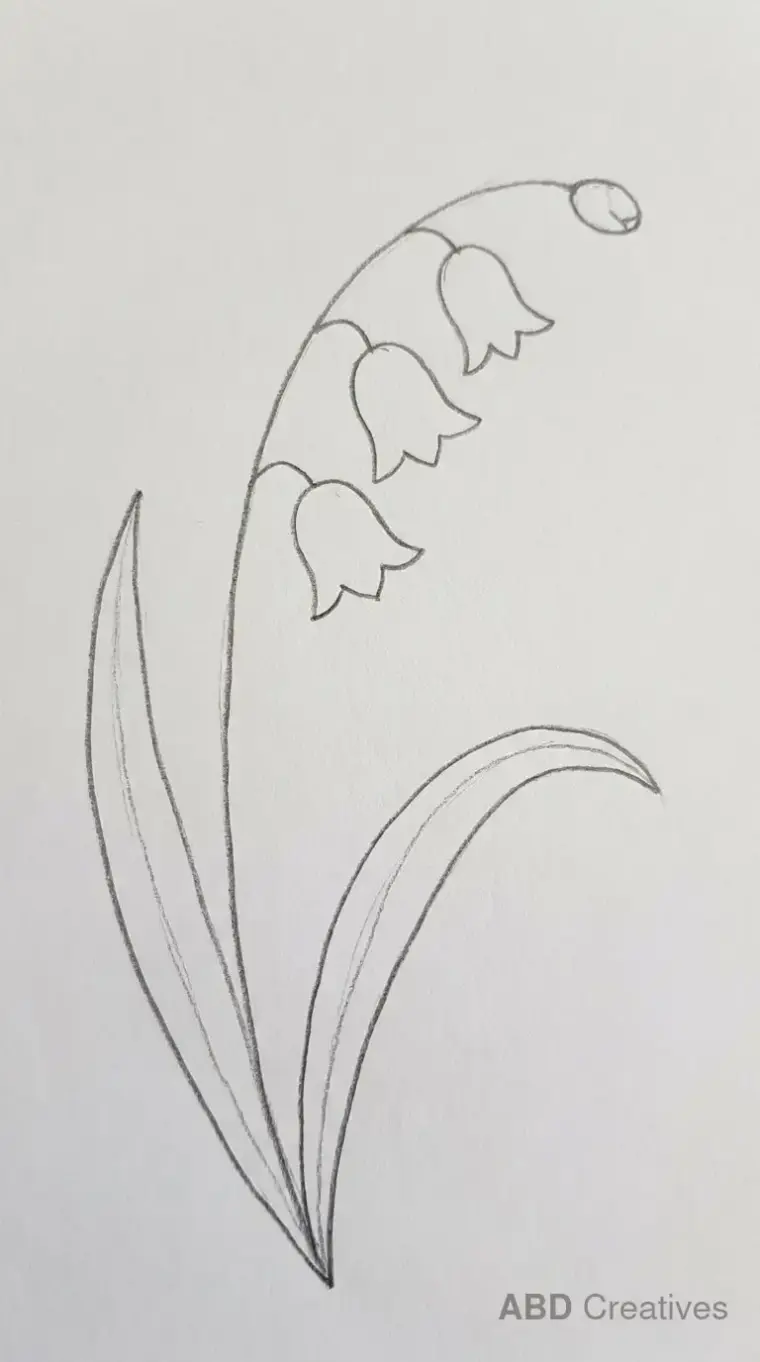 Freesia Stem with Leaves