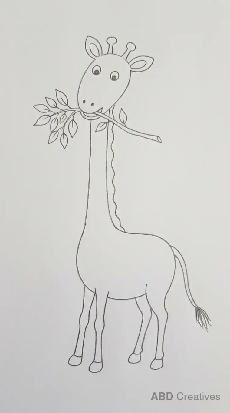 Giraffe Eating Leaves from a Branch