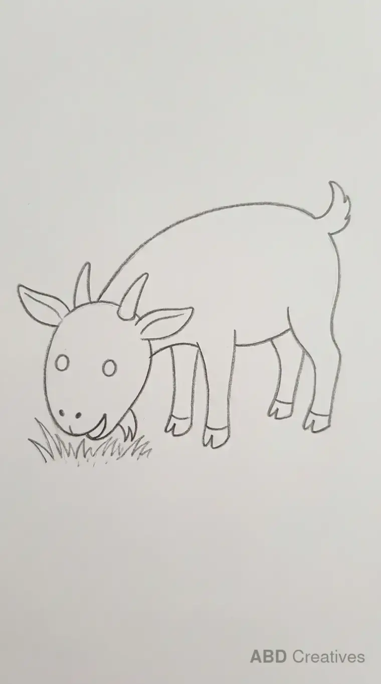 Goat Eating Grass
