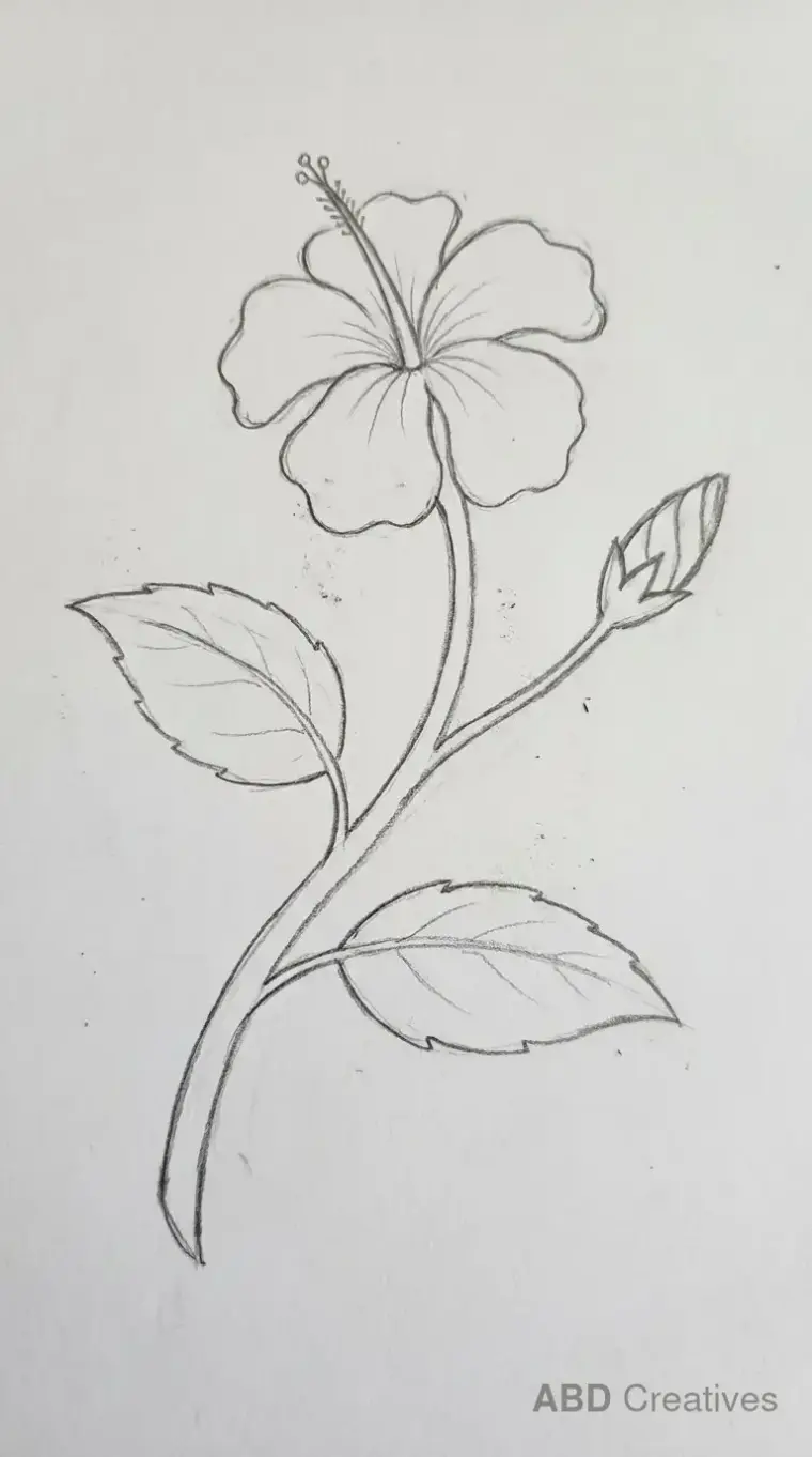 Hibiscus on a Stem with a Bud