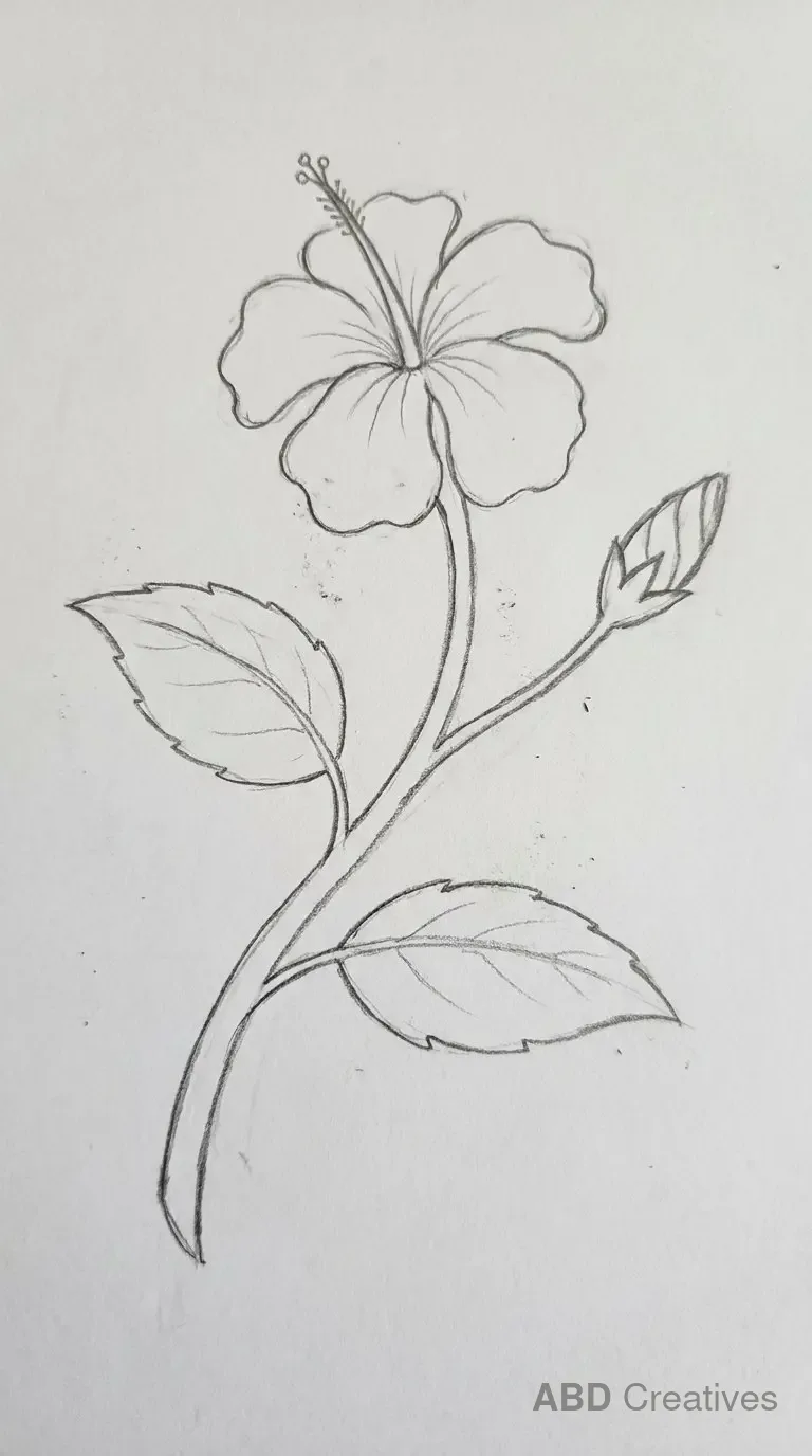 Hibiscus on a Stem with a Bud