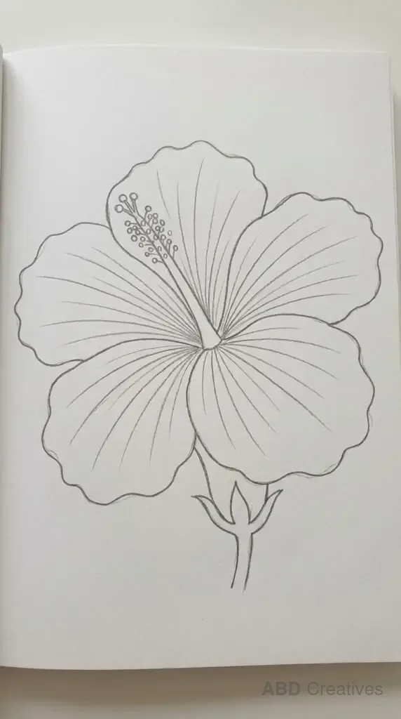 Large Hibiscus Bloom with Leaves