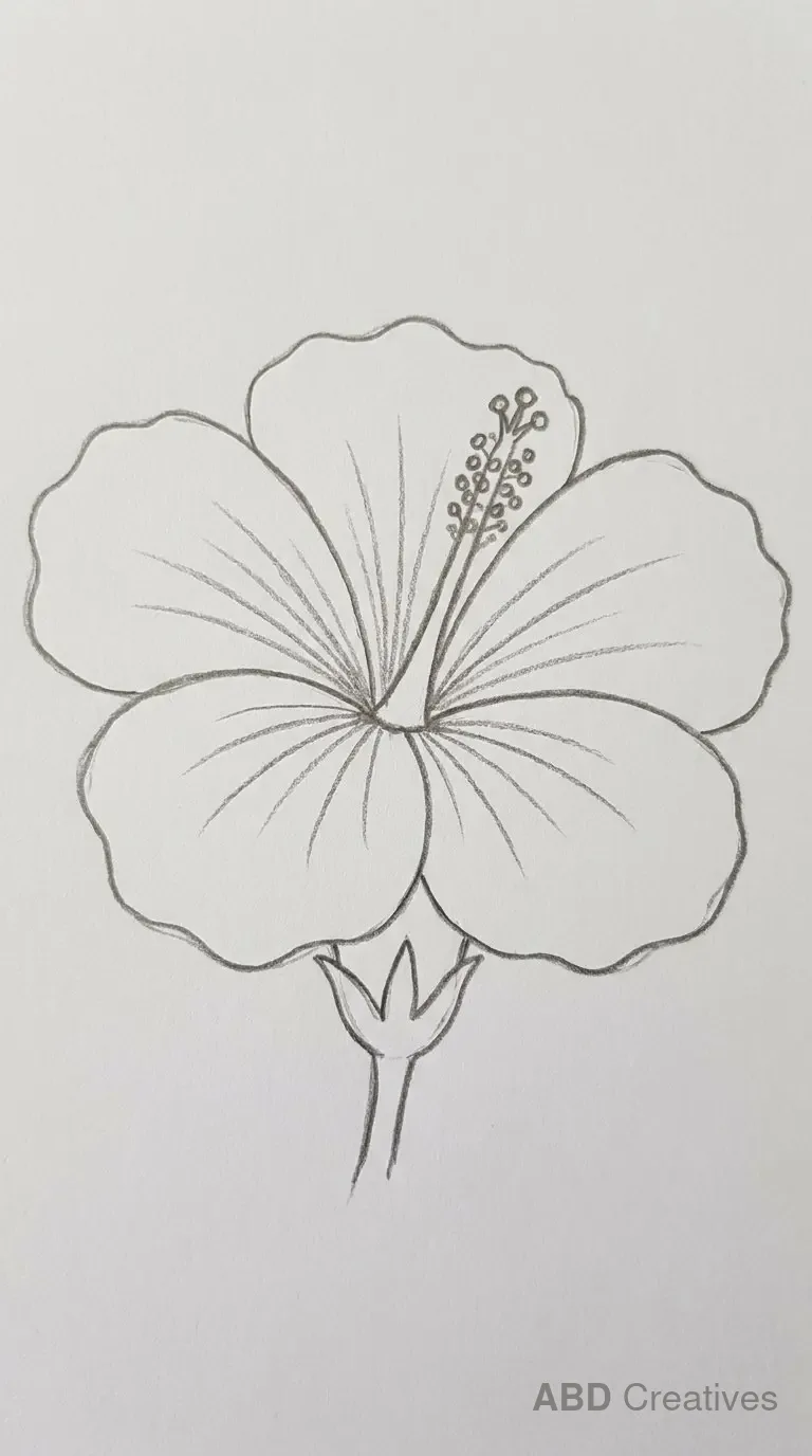 Hibiscus Flower Close Up