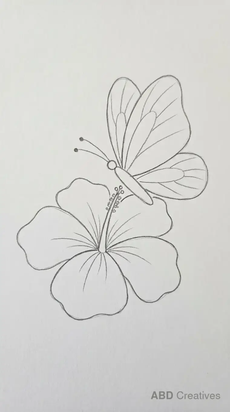 Hibiscus Flower with a Butterfly