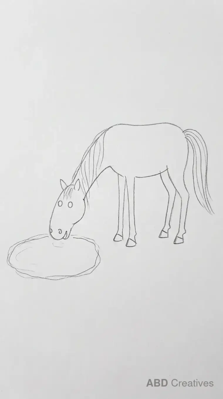 Horse Drinking from a Bowl