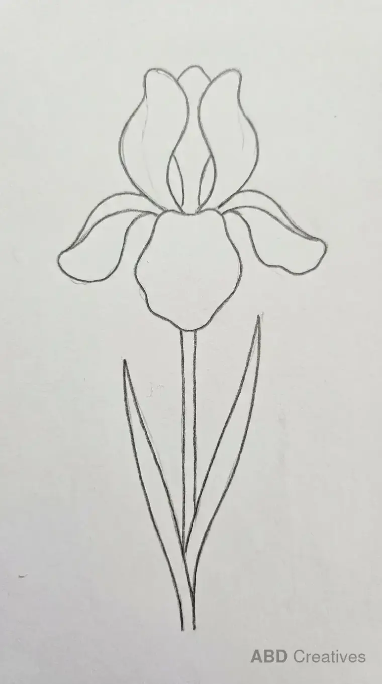 Two Iris Flowers with Leaves