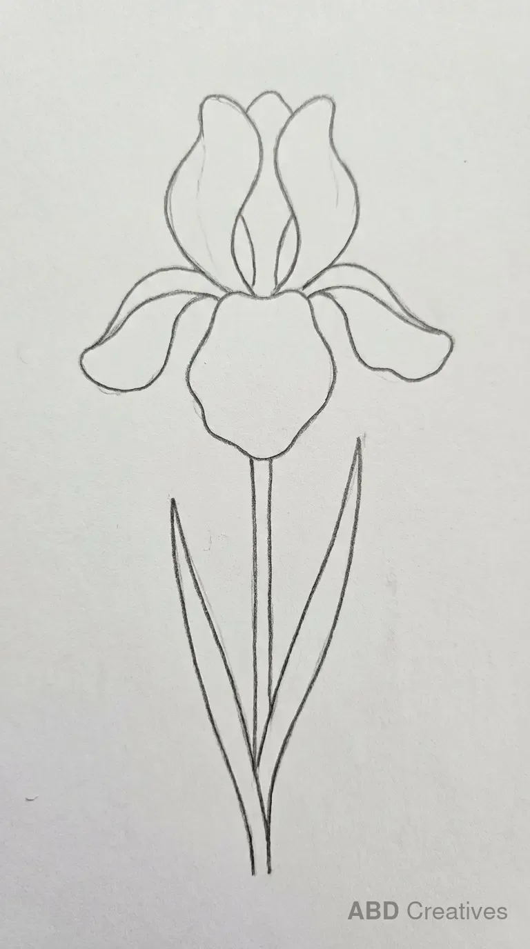 Two Iris Flowers with Leaves
