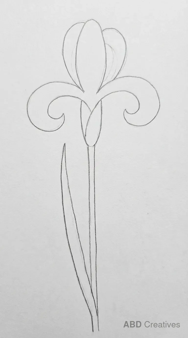 Classic Iris on a Single Stem