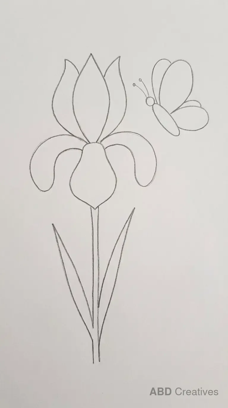 Iris Flower with a Butterfly