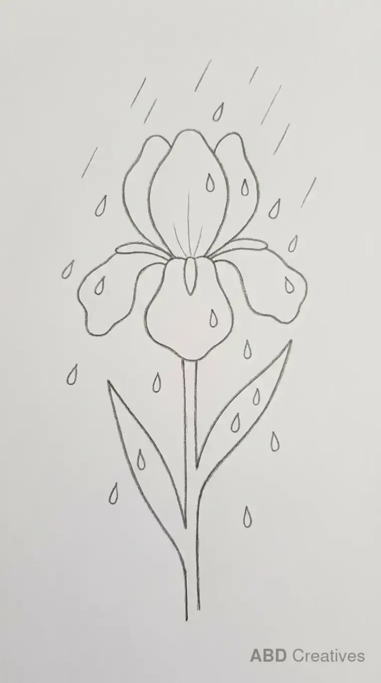 Iris Flower in the Rain