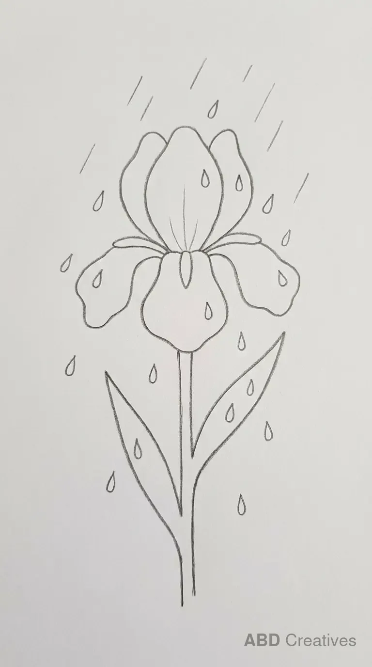 Iris Flower in the Rain
