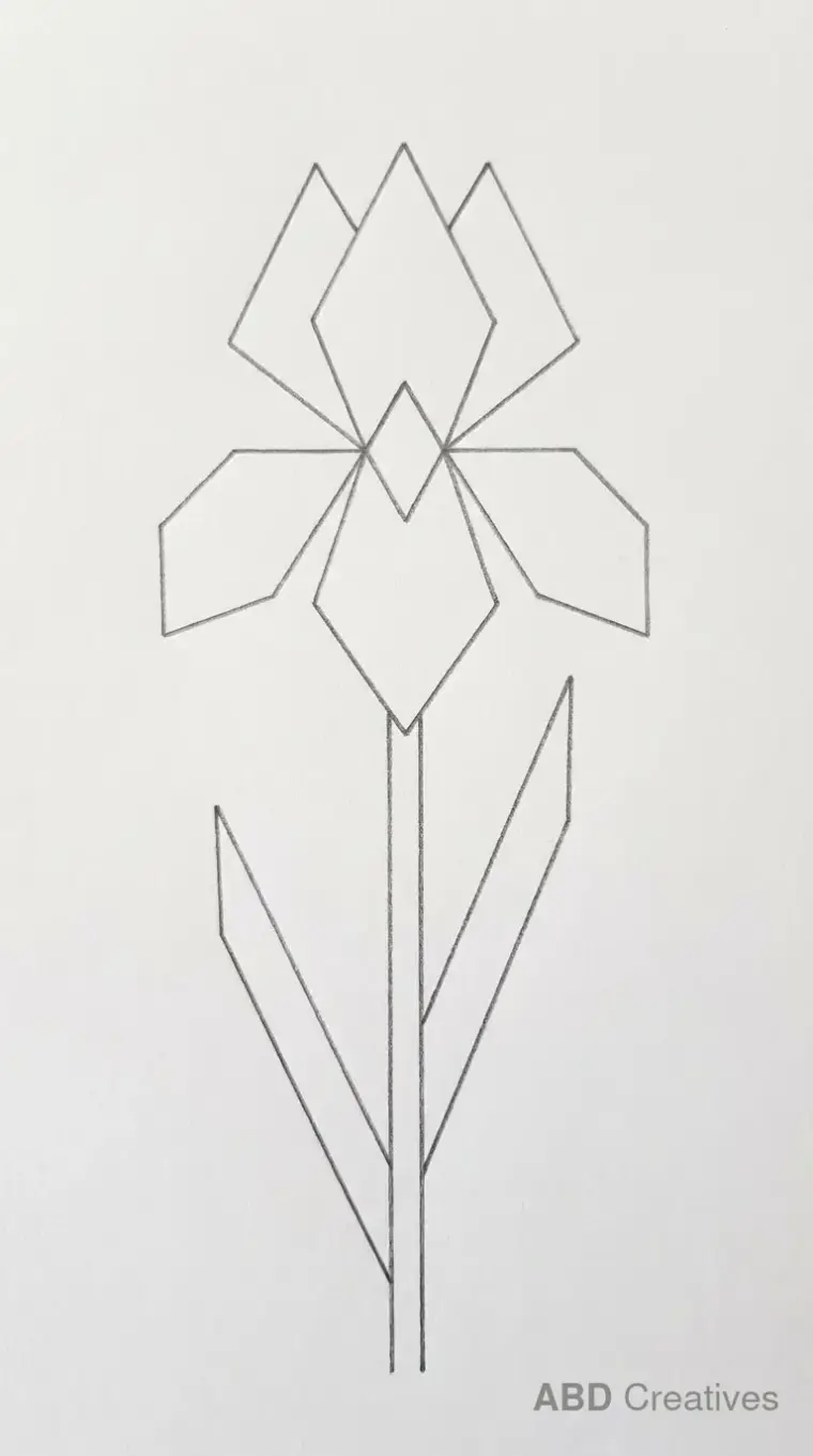Simple Iris in Straight Lines