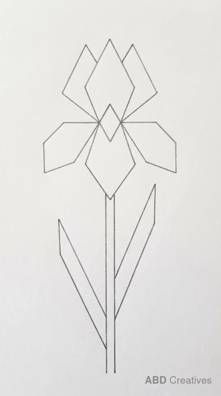 Simple Iris in Straight Lines