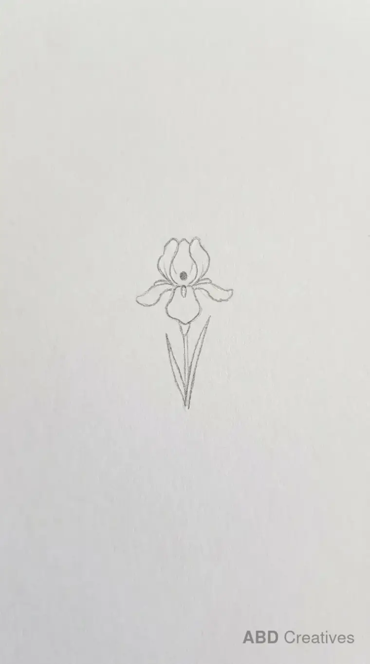 Small Simple Iris Flower