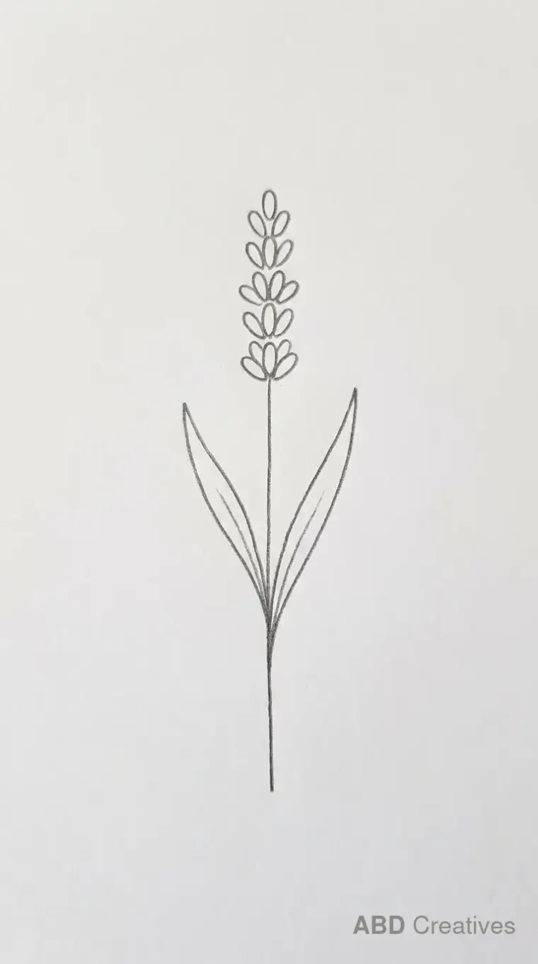 Easy Lavender Stem for Beginners
