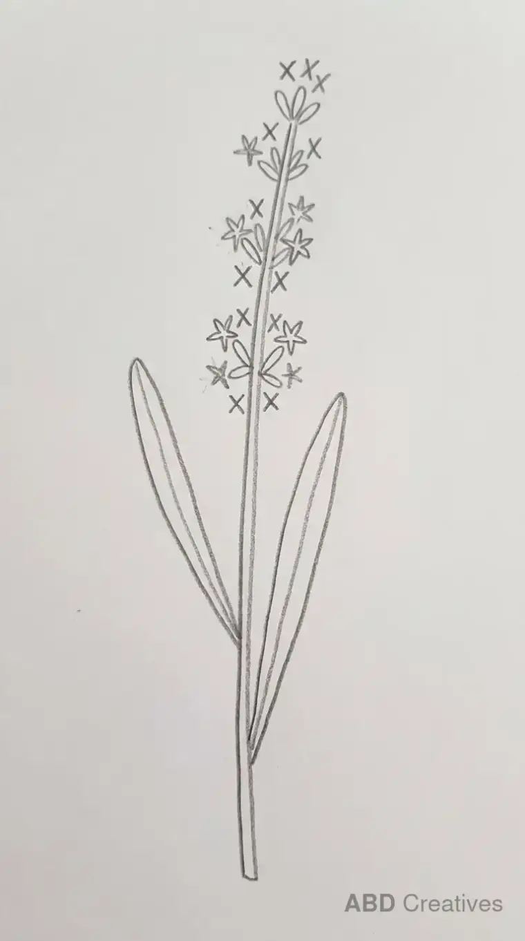 Tall Lavender Stem with Leaves