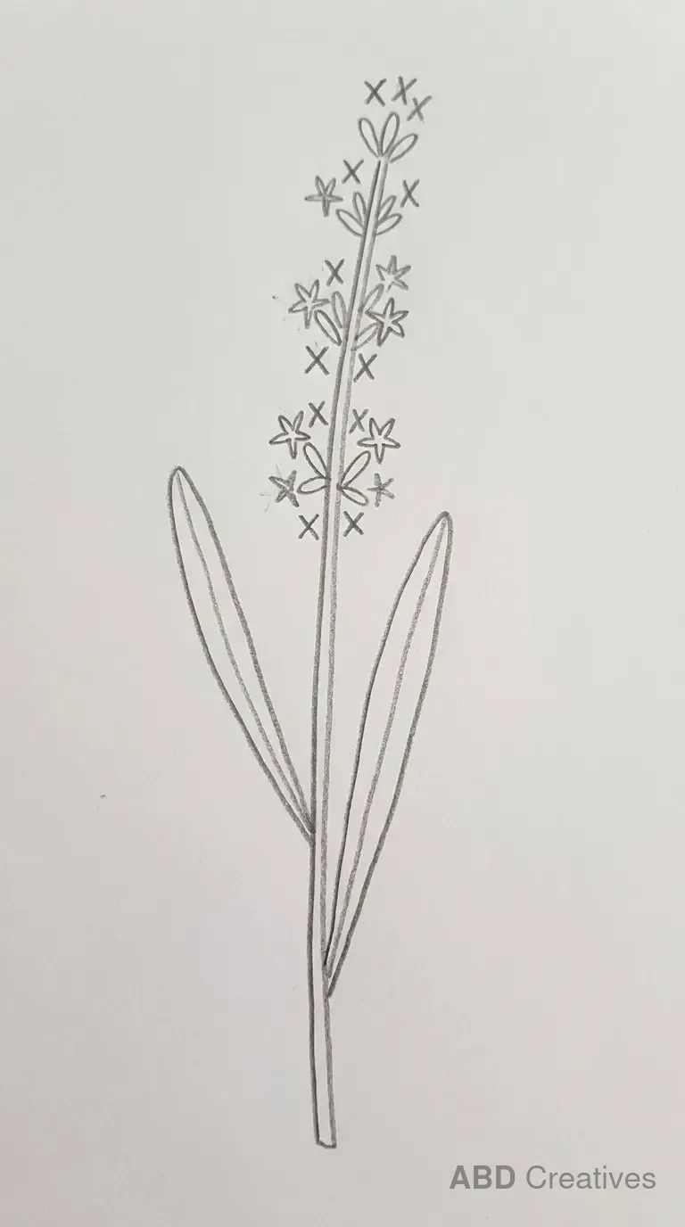 Tall Lavender Stem with Leaves