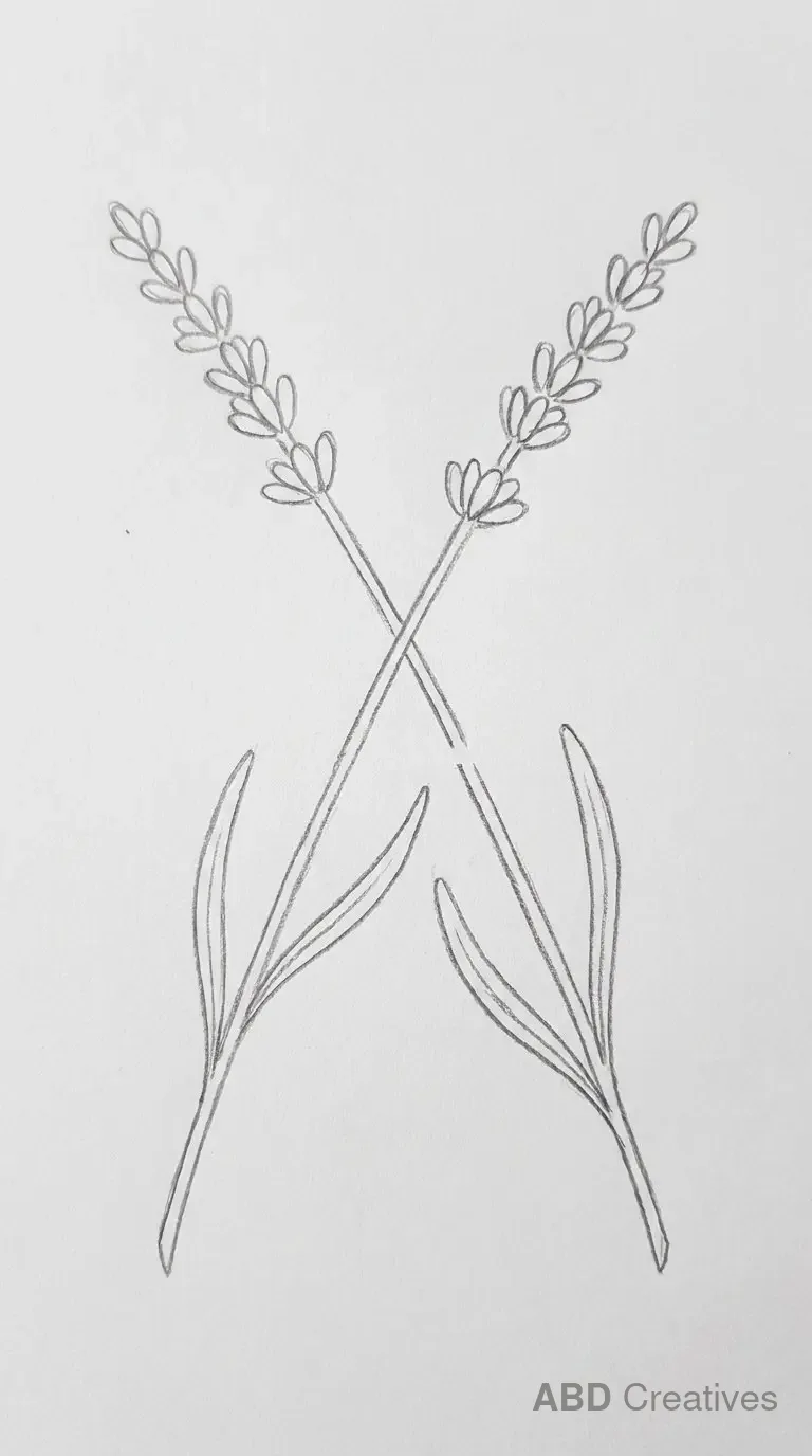 Two Crossed Lavender Stems
