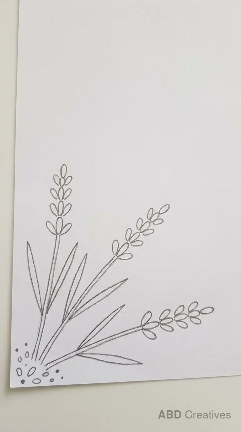 Lavender Corner Border