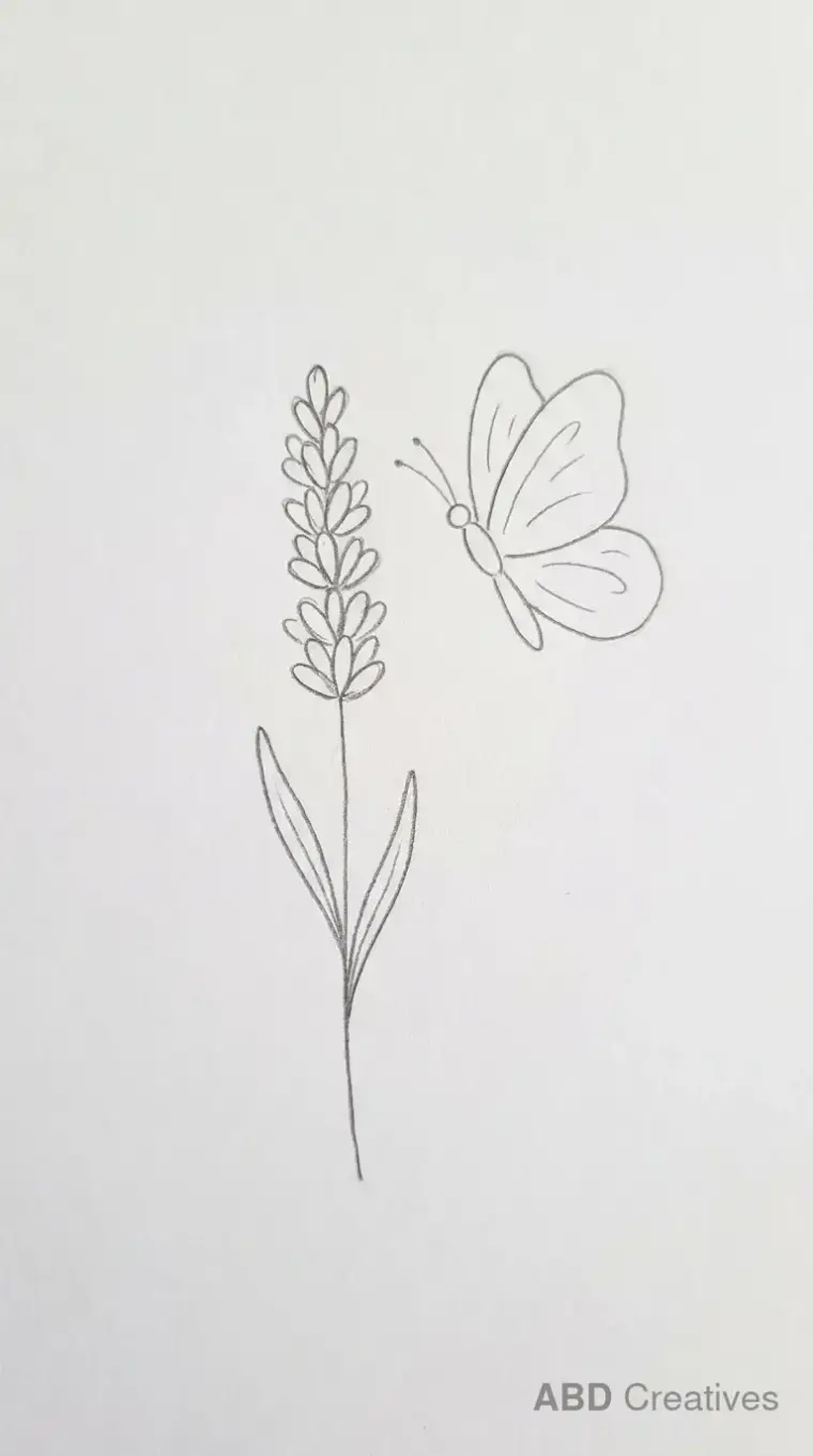 Lavender with a Butterfly