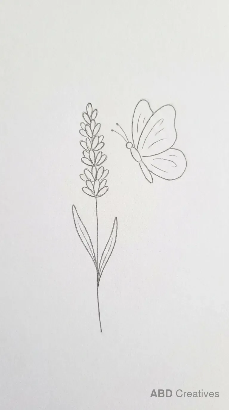 Lavender with a Butterfly