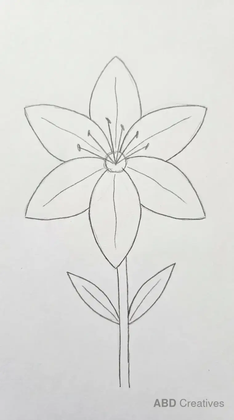 Easy Lily for Beginners