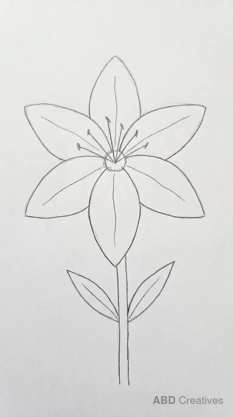 Easy Lily for Beginners
