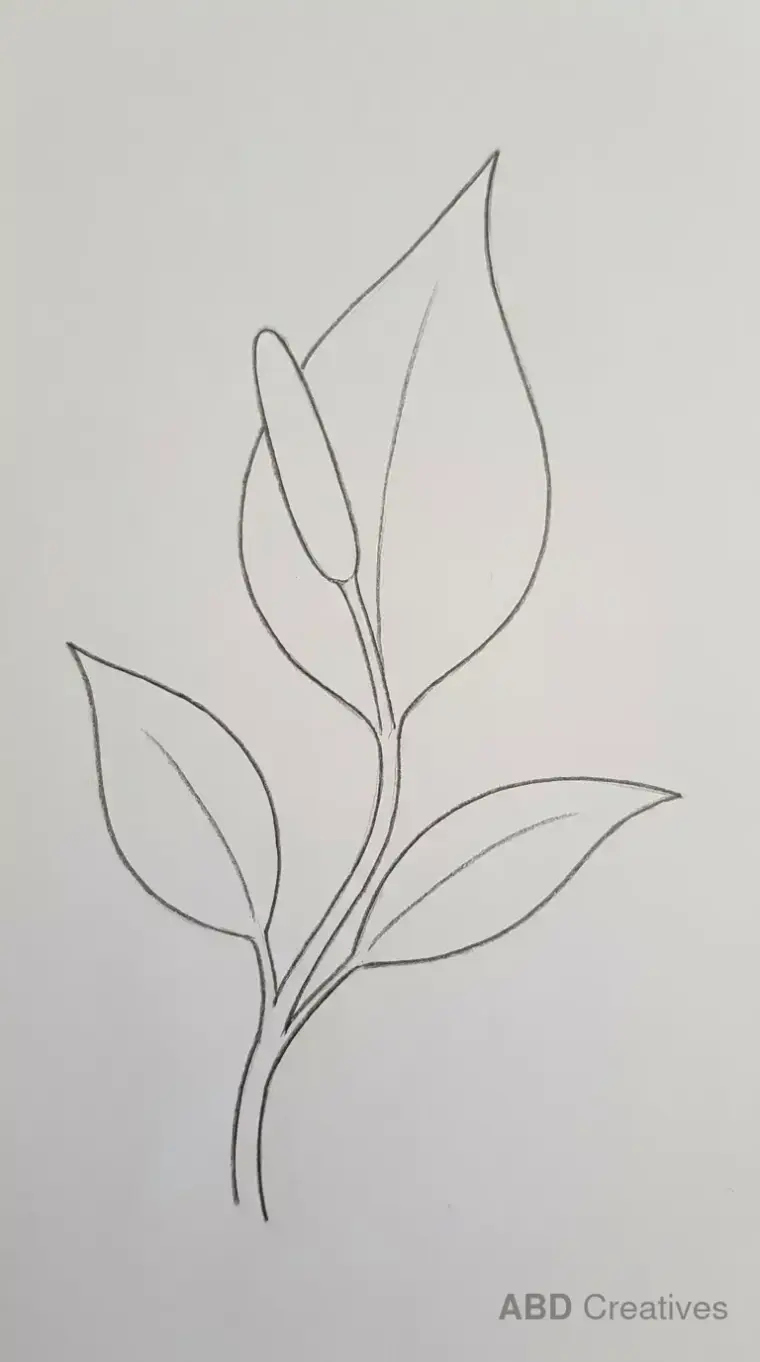 Lily Leaves on a Stem