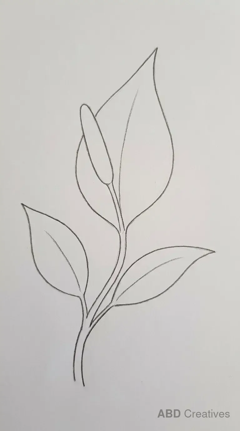 Lily Leaves on a Stem