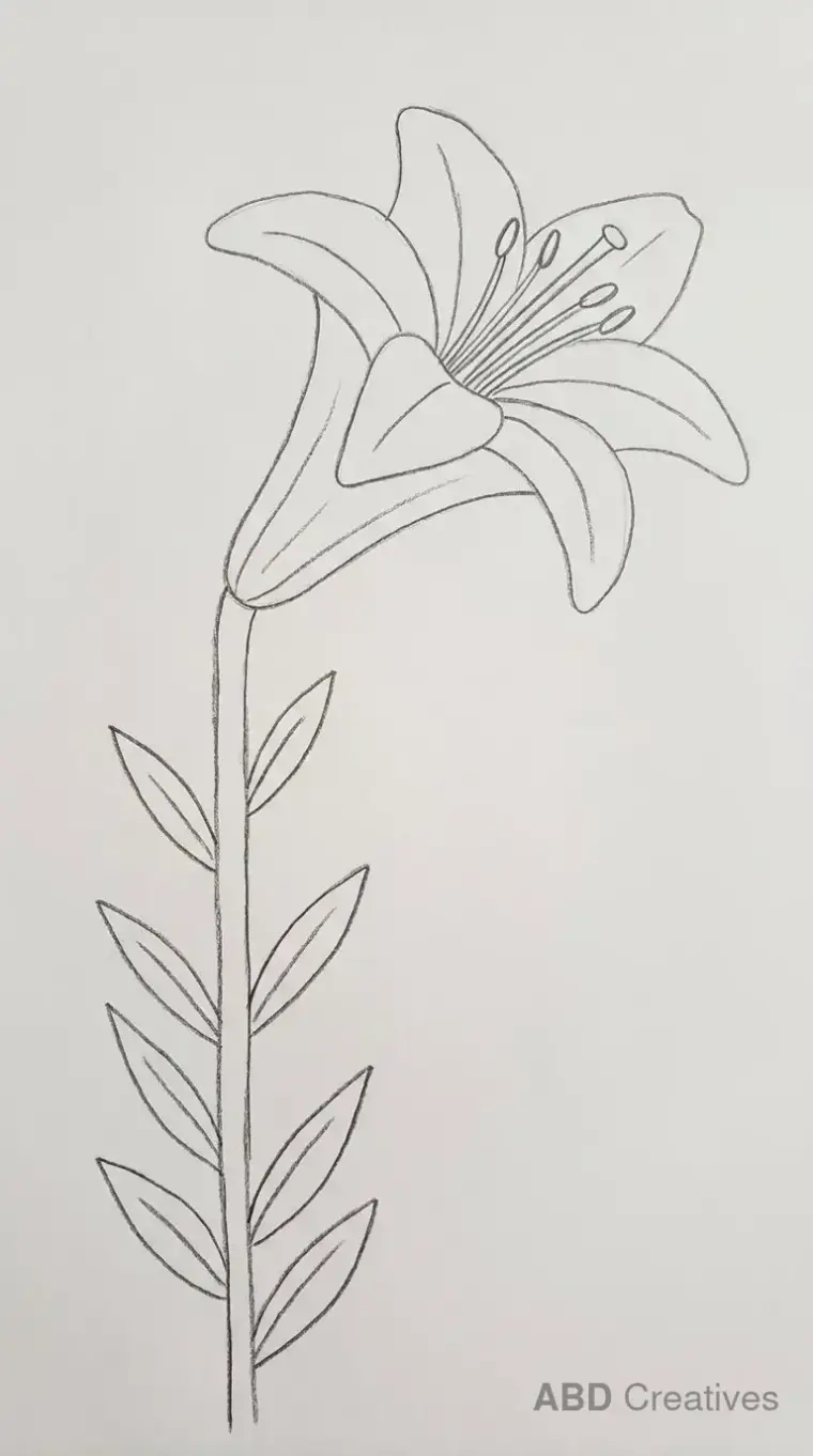 Tall Lily on a Leafy Stem