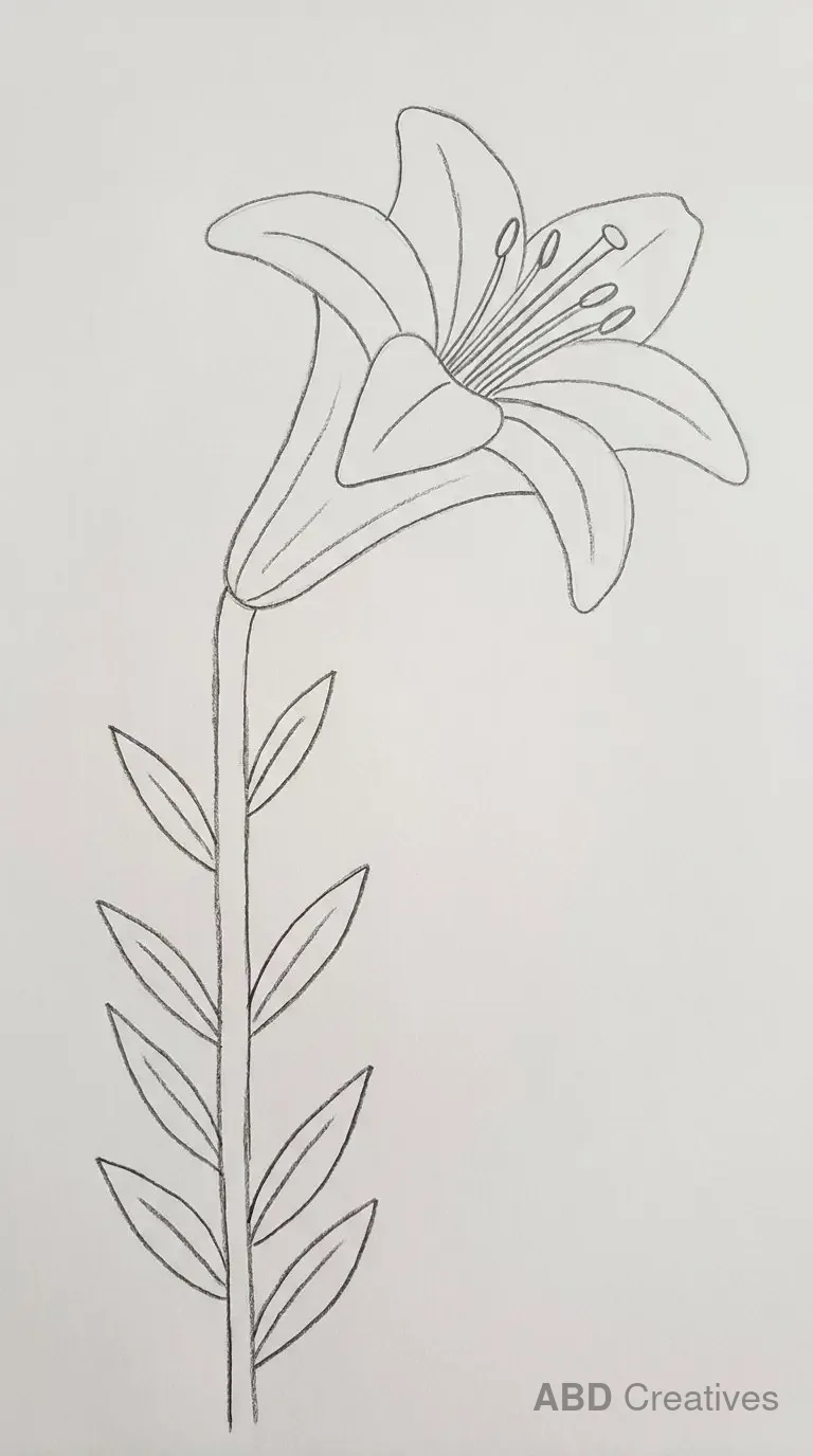 Tall Lily on a Leafy Stem
