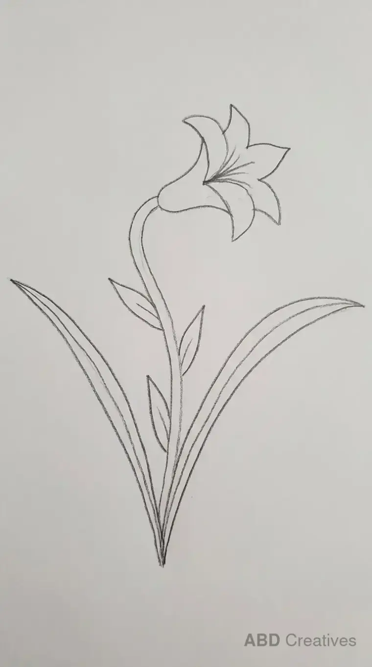 Lily with Blade Leaves